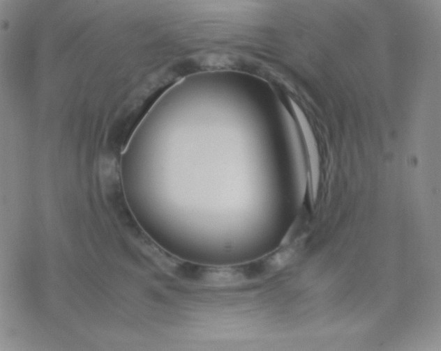 X0000071970521200607282101