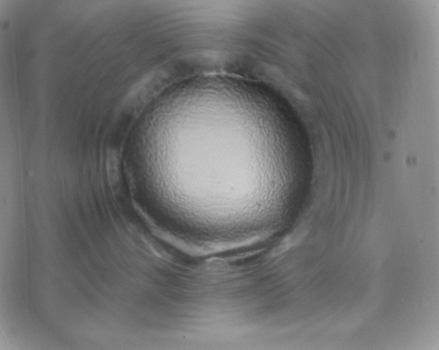 X0000071970528200607282101