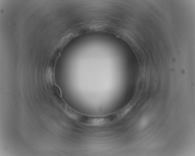 X0000071970575200607282101