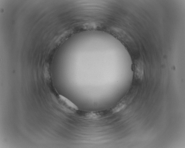 X0000071970616200607282059