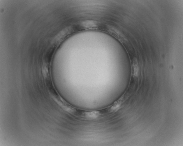 X0000071970618200607282059