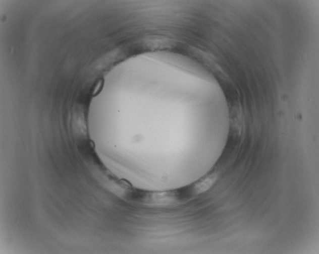 X0000071970622200607282059