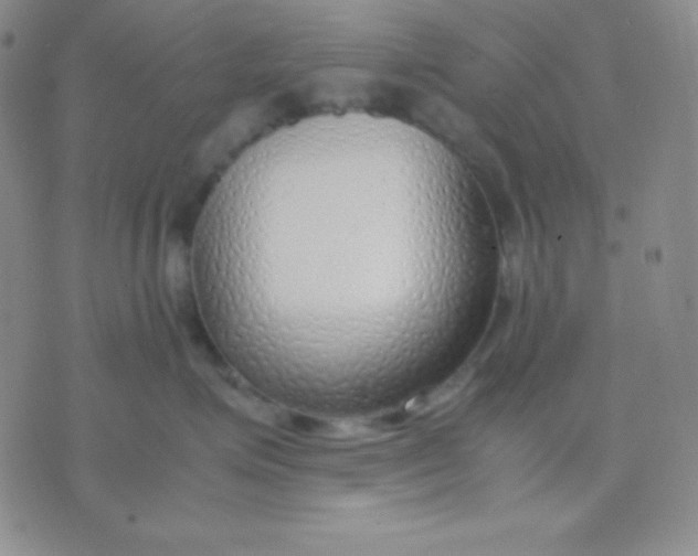 X0000071970623200607282059