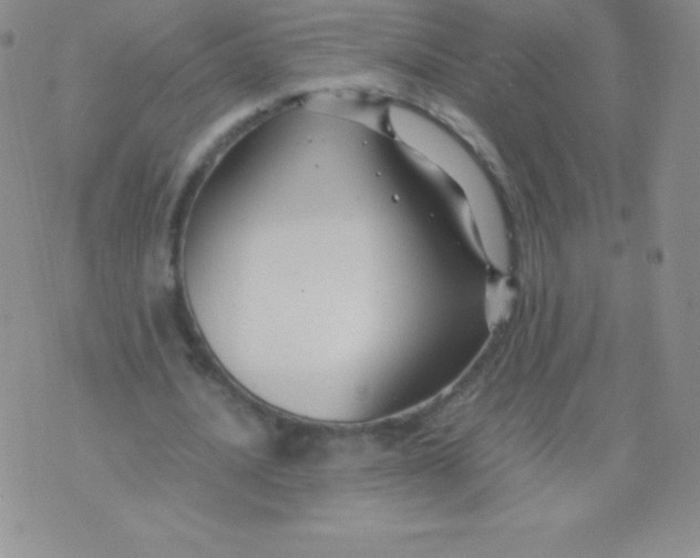 X0000071970628200607282059