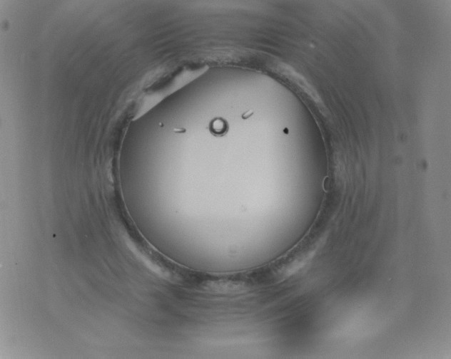 X0000071970633200607282059