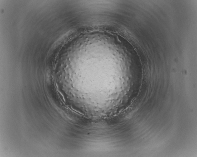 X0000071970644200607282059