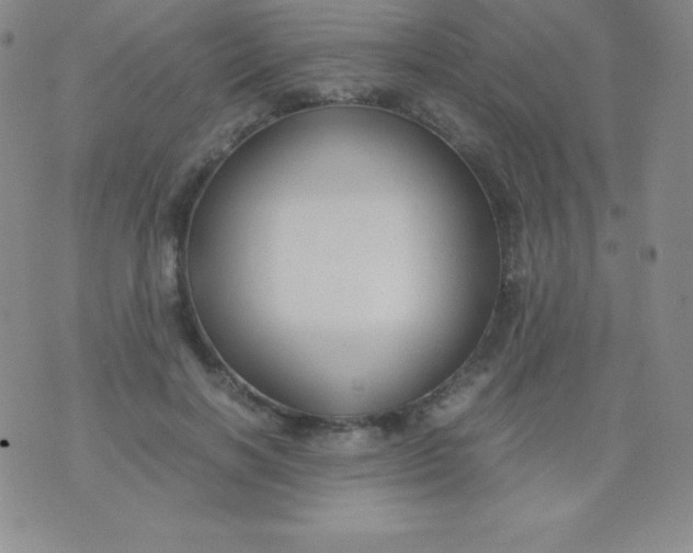 X0000071970646200607282059