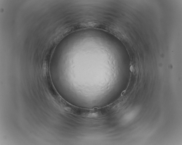 X0000071970647200607282059