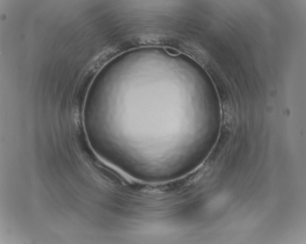 X0000071970648200607282059