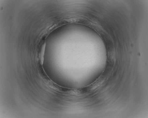X0000071970652200607282059