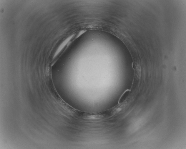 X0000071970657200607282059