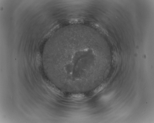 X0000071970659200607282059