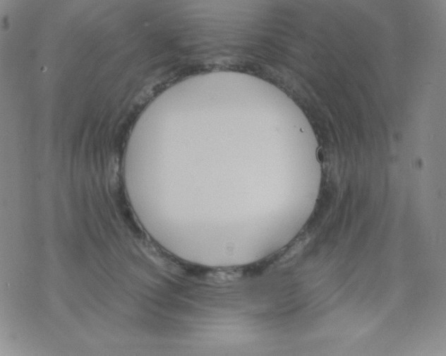 X0000071970660200607282059