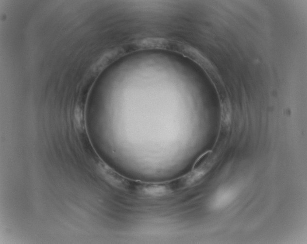 X0000071970669200607282059