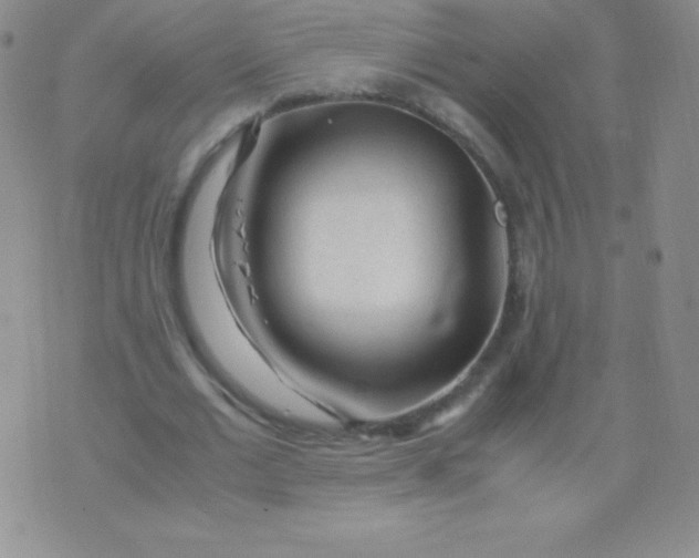 X0000071970677200607282058