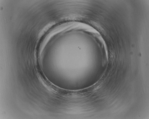 X0000071970678200607282058