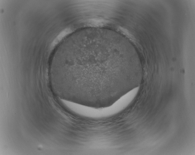 X0000071970679200607282058