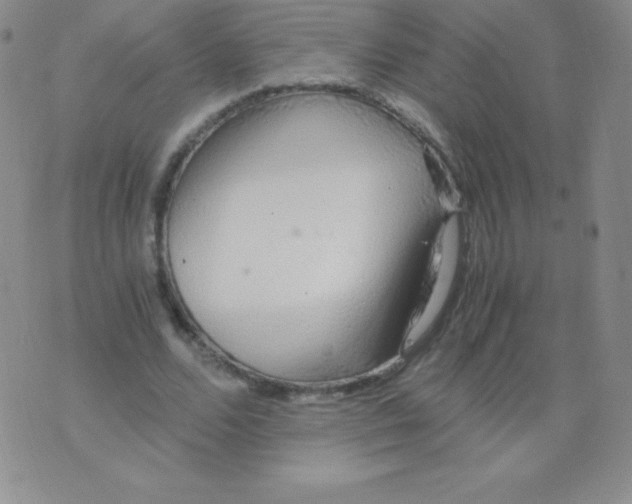 X0000071970680200607282058