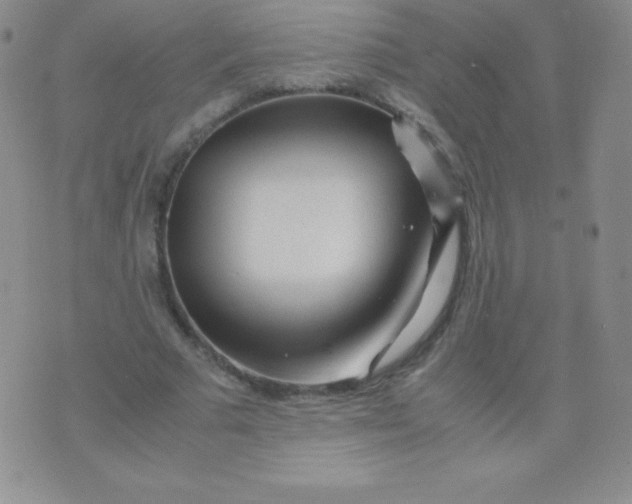 X0000071970681200607282058