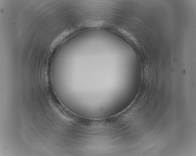 X0000071970682200607282058