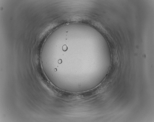 X0000071970683200607282058