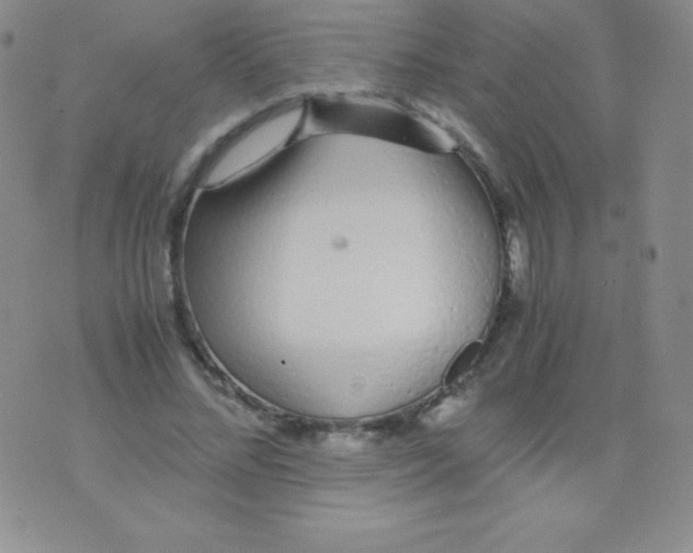 X0000071970684200607282058