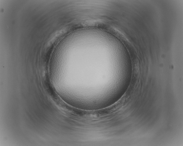 X0000071970687200607282058