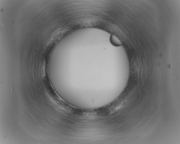 X0000071970694200607282058