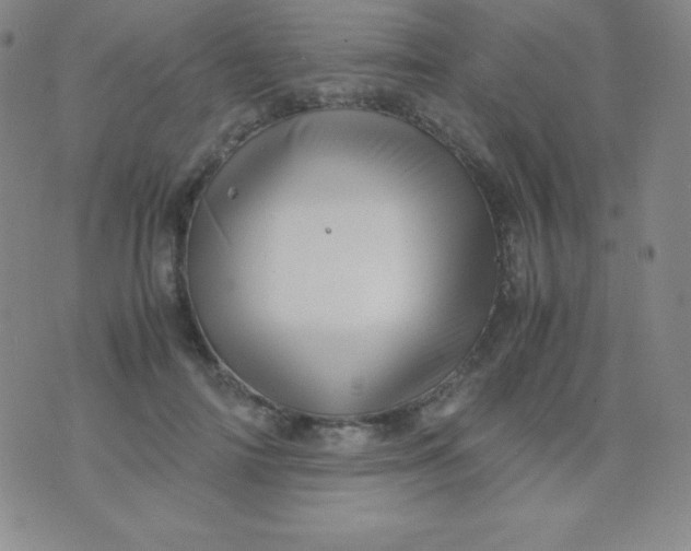 X0000071970698200607282058