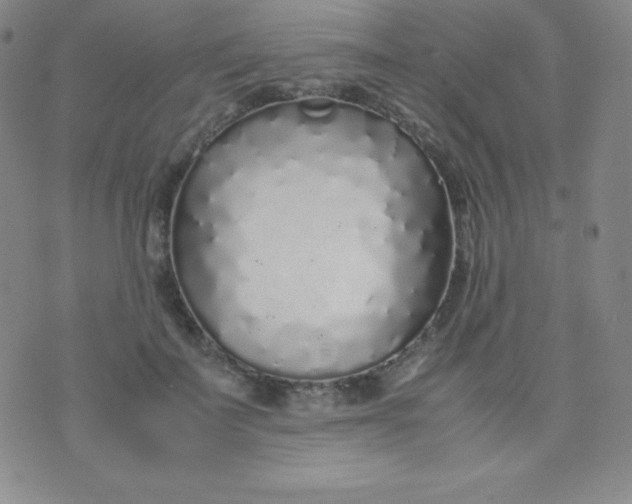 X0000071970699200607282058