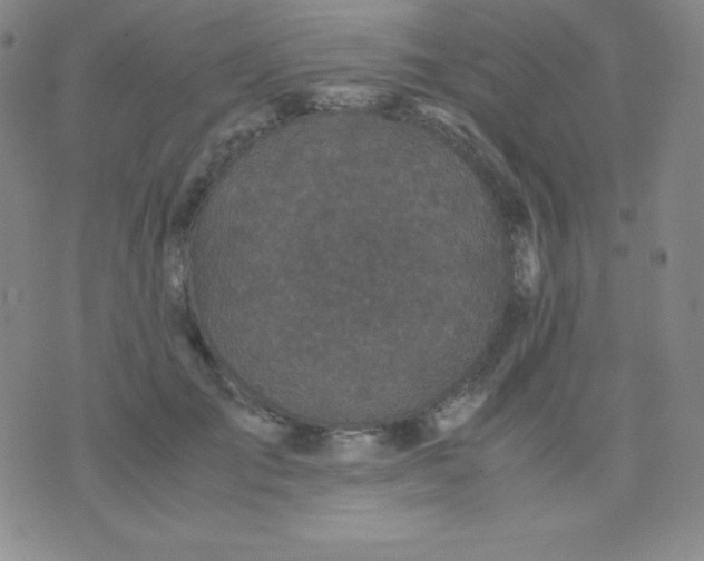 X0000071970701200607282058