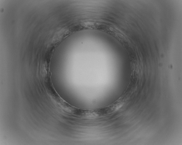 X0000071970702200607282058