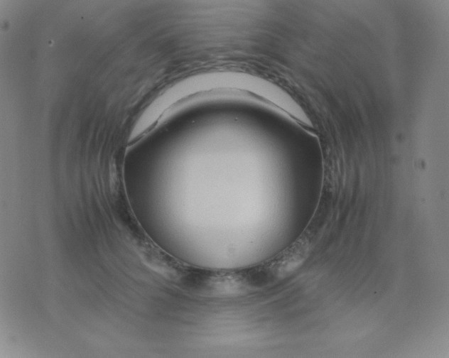 X0000071970704200607282058