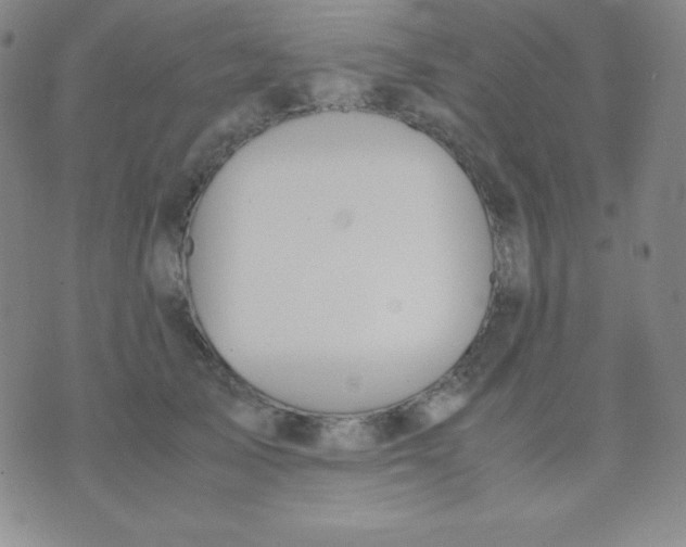 X0000071970705200607282058