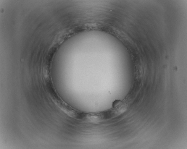 X0000071970706200607282058