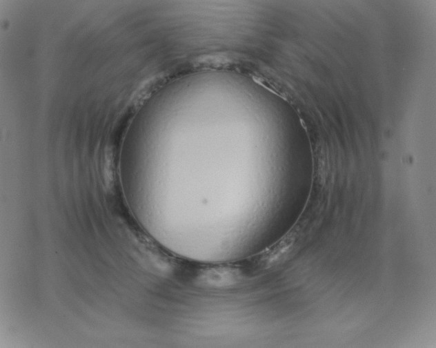 X0000071970708200607282058