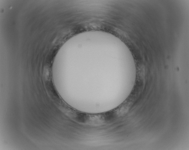 X0000071970709200607282058