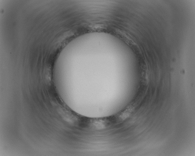 X0000071970710200607282058