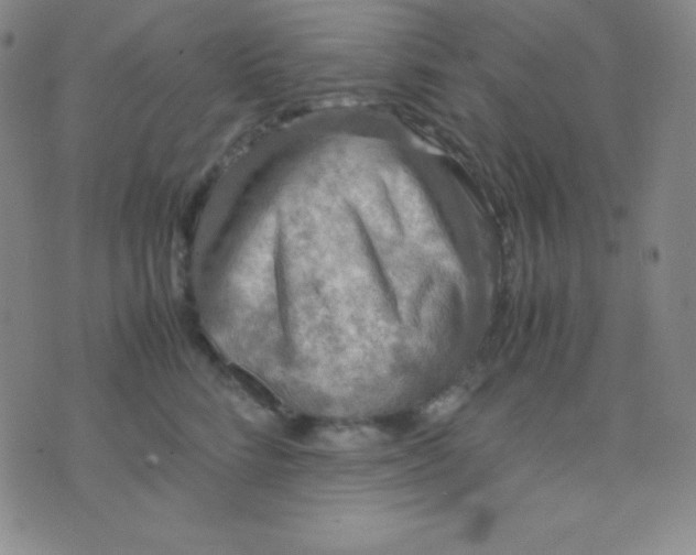 X0000071970712200607282058