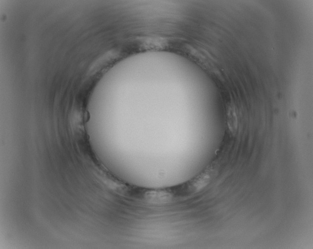 X0000071970714200607282058