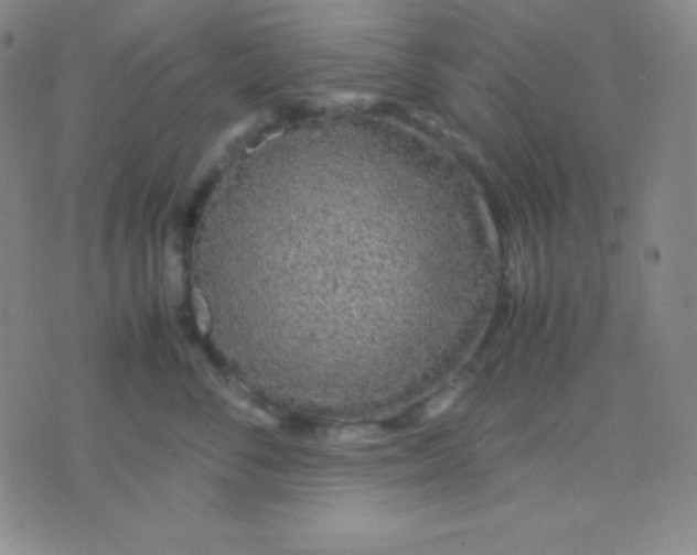 X0000071970716200607282058