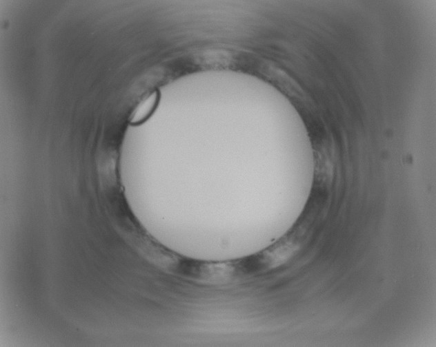 X0000071970717200607282058