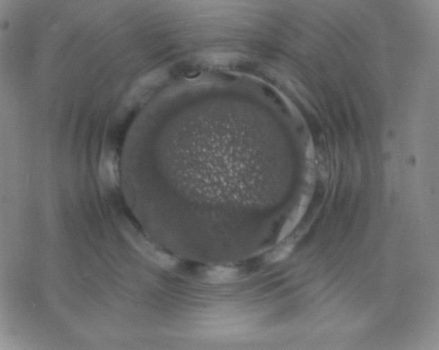 X0000071970718200607282058