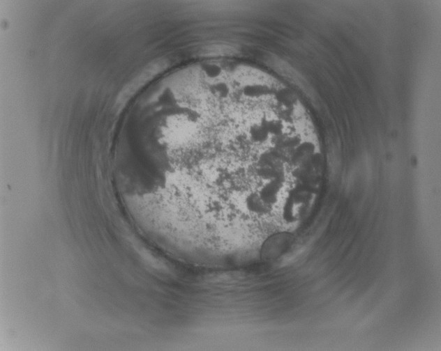 X0000071970721200607282057