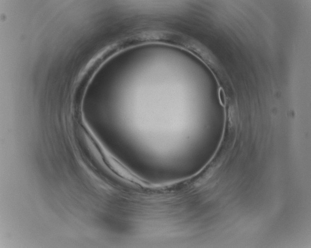 X0000071970722200607282057