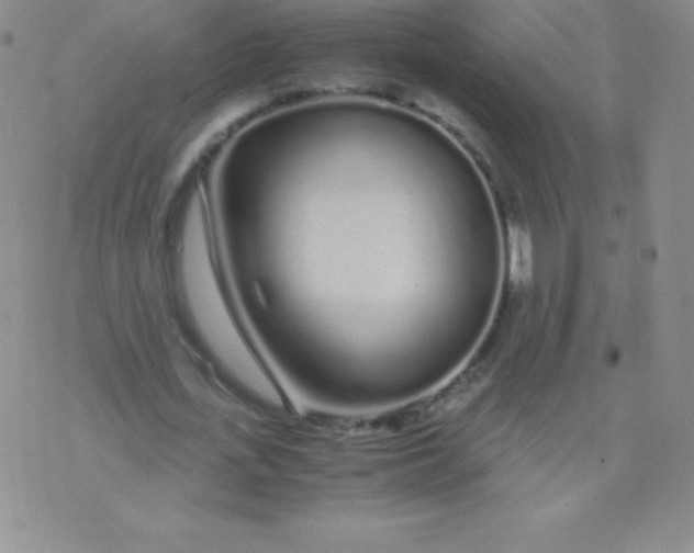 X0000071970723200607282057