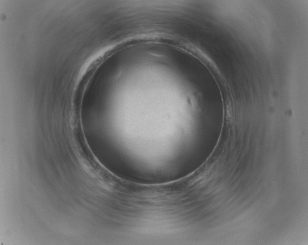 X0000071970724200607282057