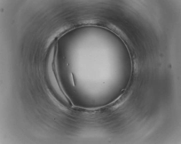 X0000071970725200607282057