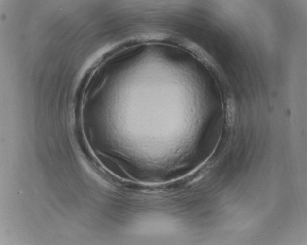 X0000071970726200607282057