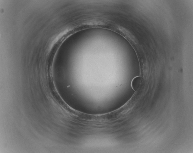 X0000071970727200607282057